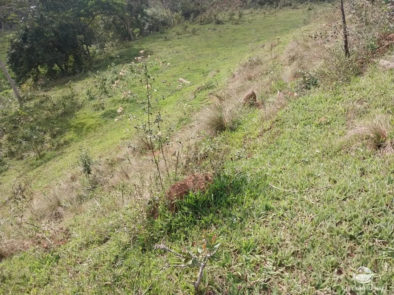 Terreno à venda de 3 ha em São José dos Campos, SP, Brasil