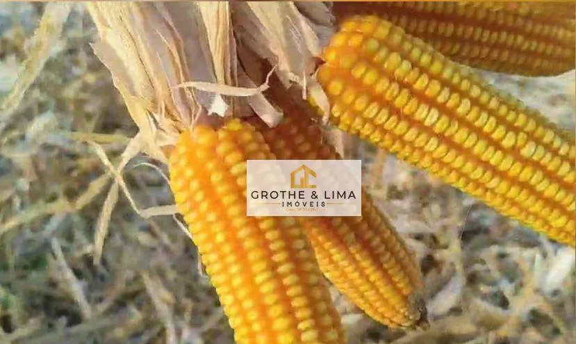 Fazenda à venda de 267 ha em Nova Alvorada do Sul, MS, Brasil