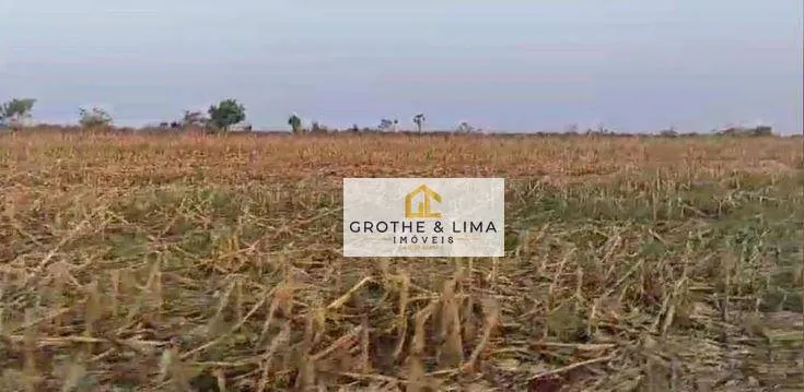 Fazenda à venda de 267 ha em Nova Alvorada do Sul, MS, Brasil