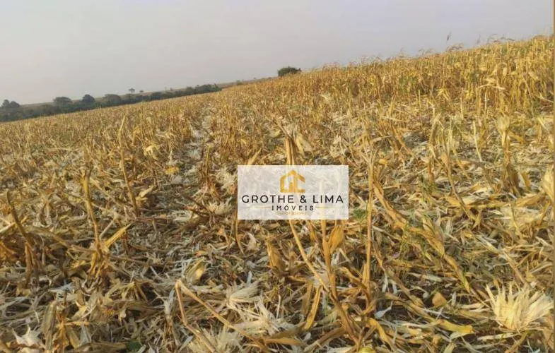Fazenda à venda de 267 ha em Nova Alvorada do Sul, MS, Brasil