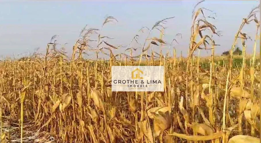 Fazenda à venda de 267 ha em Nova Alvorada do Sul, MS, Brasil