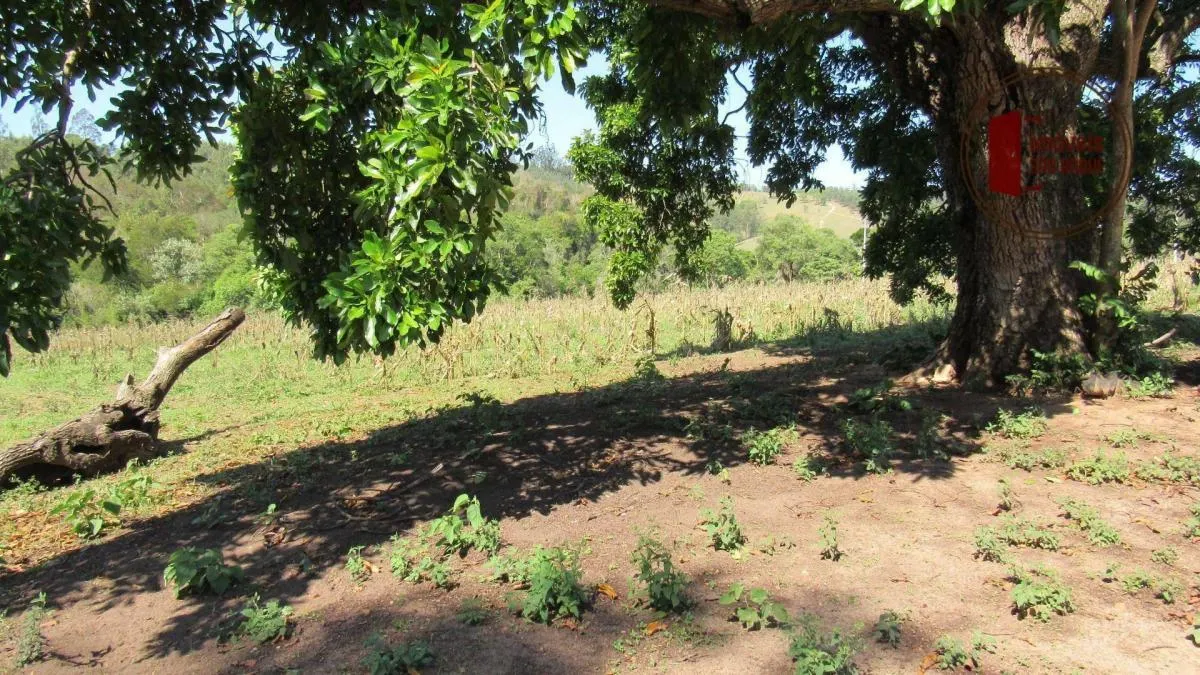 Small farm for sale of 120 acres in Itu, SP, Brazil