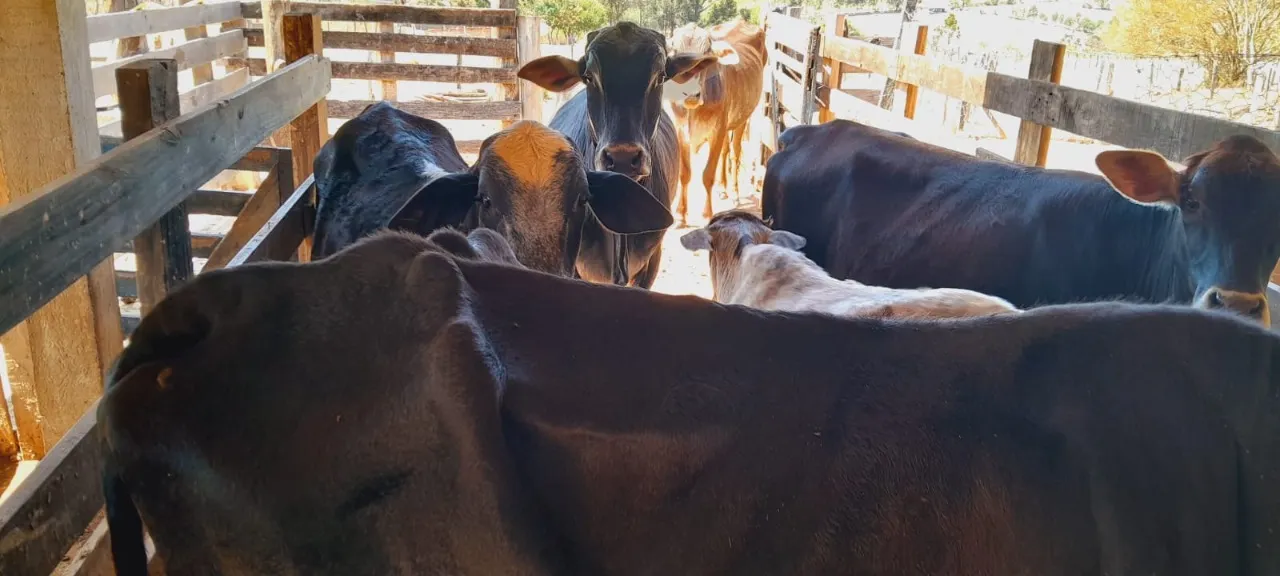 Chácara à venda de 2 ha em Boituva, SP, Brasil
