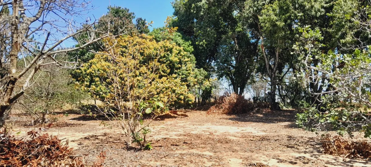 Chácara à venda de 2 ha em Boituva, SP, Brasil