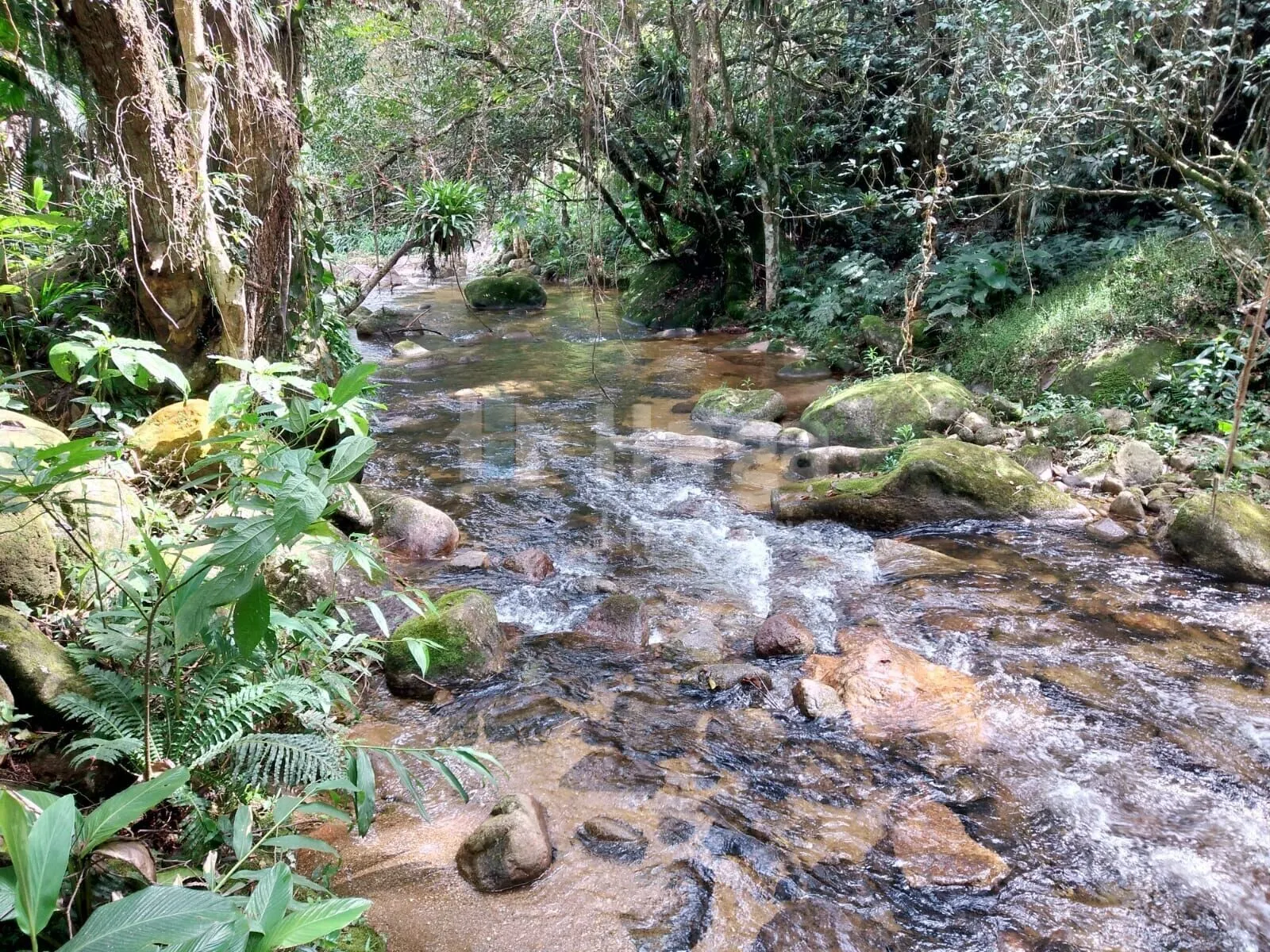 Fazenda à venda de 2.400 m² em Nova Trento, SC, Brasil