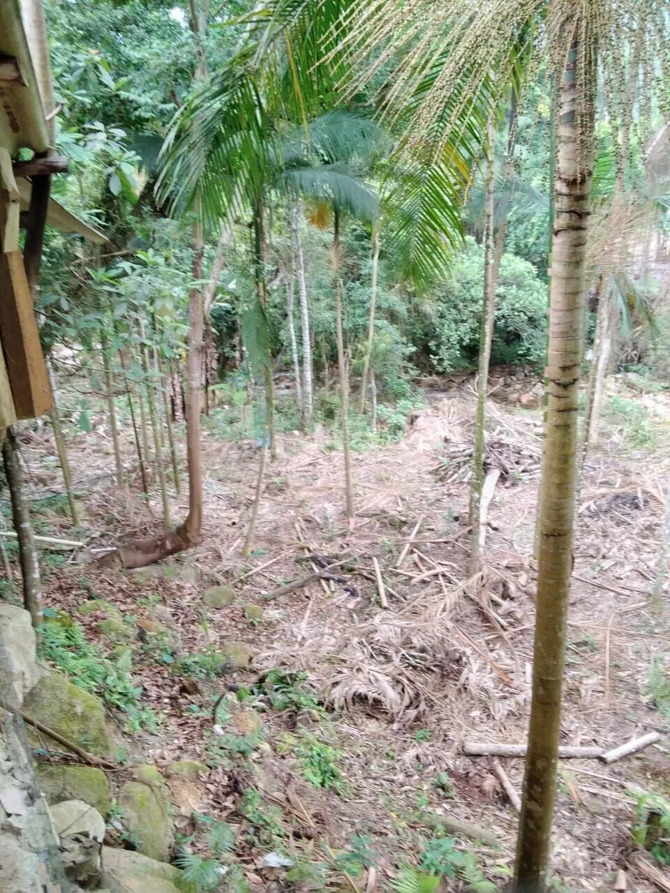 Fazenda à venda de 2.400 m² em Nova Trento, SC, Brasil