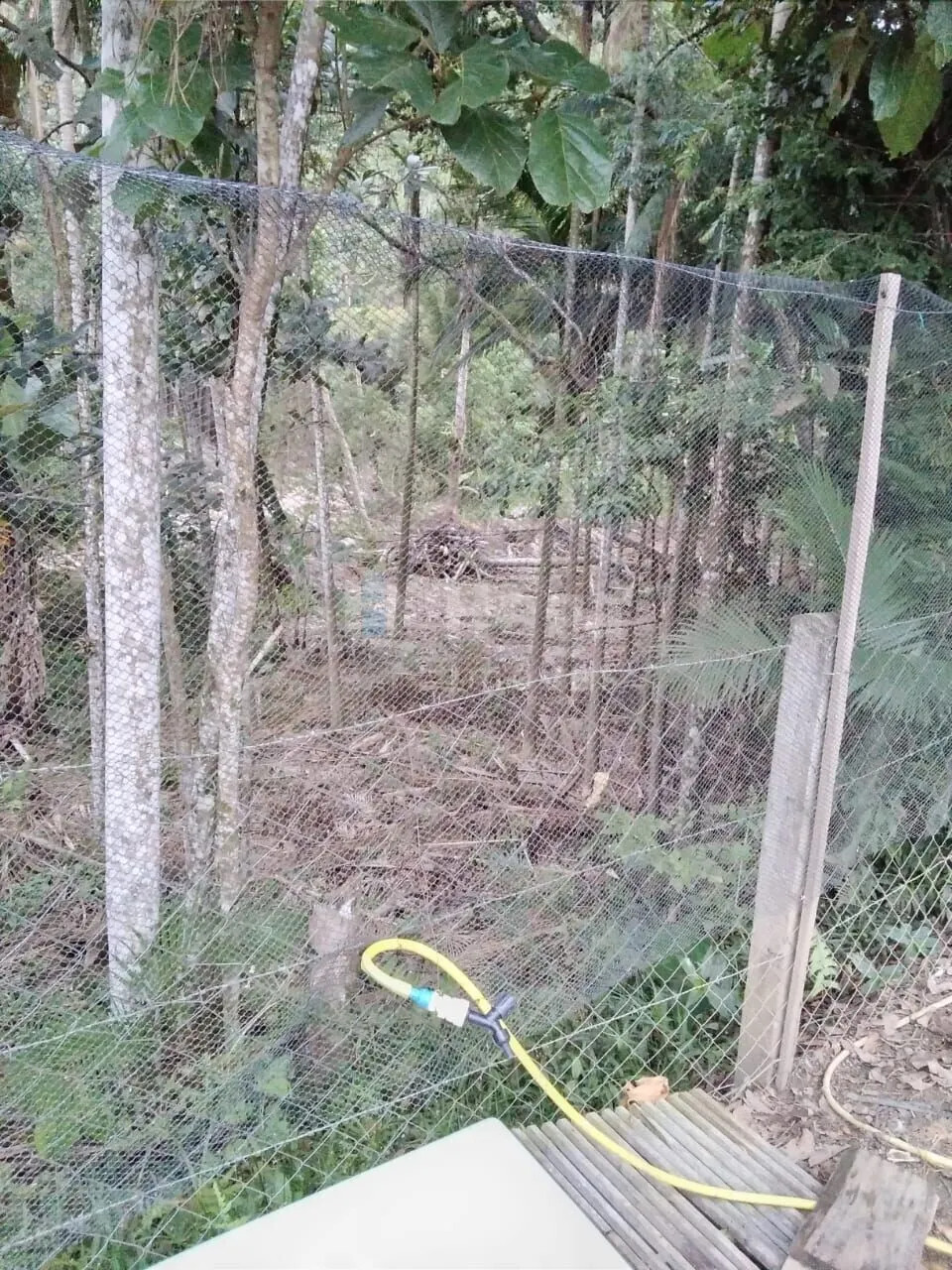 Fazenda à venda de 2.400 m² em Nova Trento, SC, Brasil