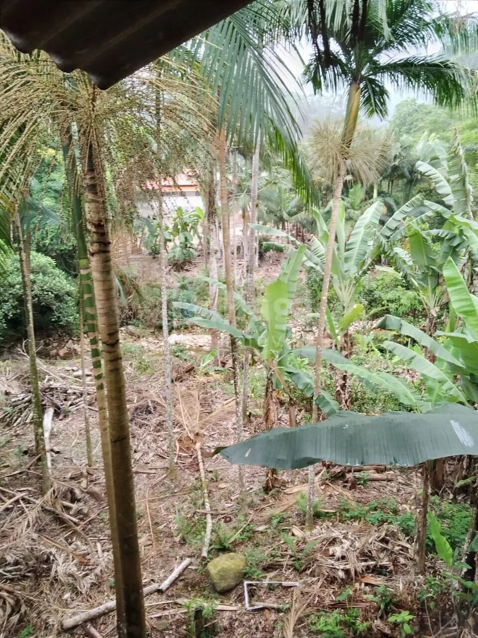 Fazenda à venda de 2.400 m² em Nova Trento, SC, Brasil