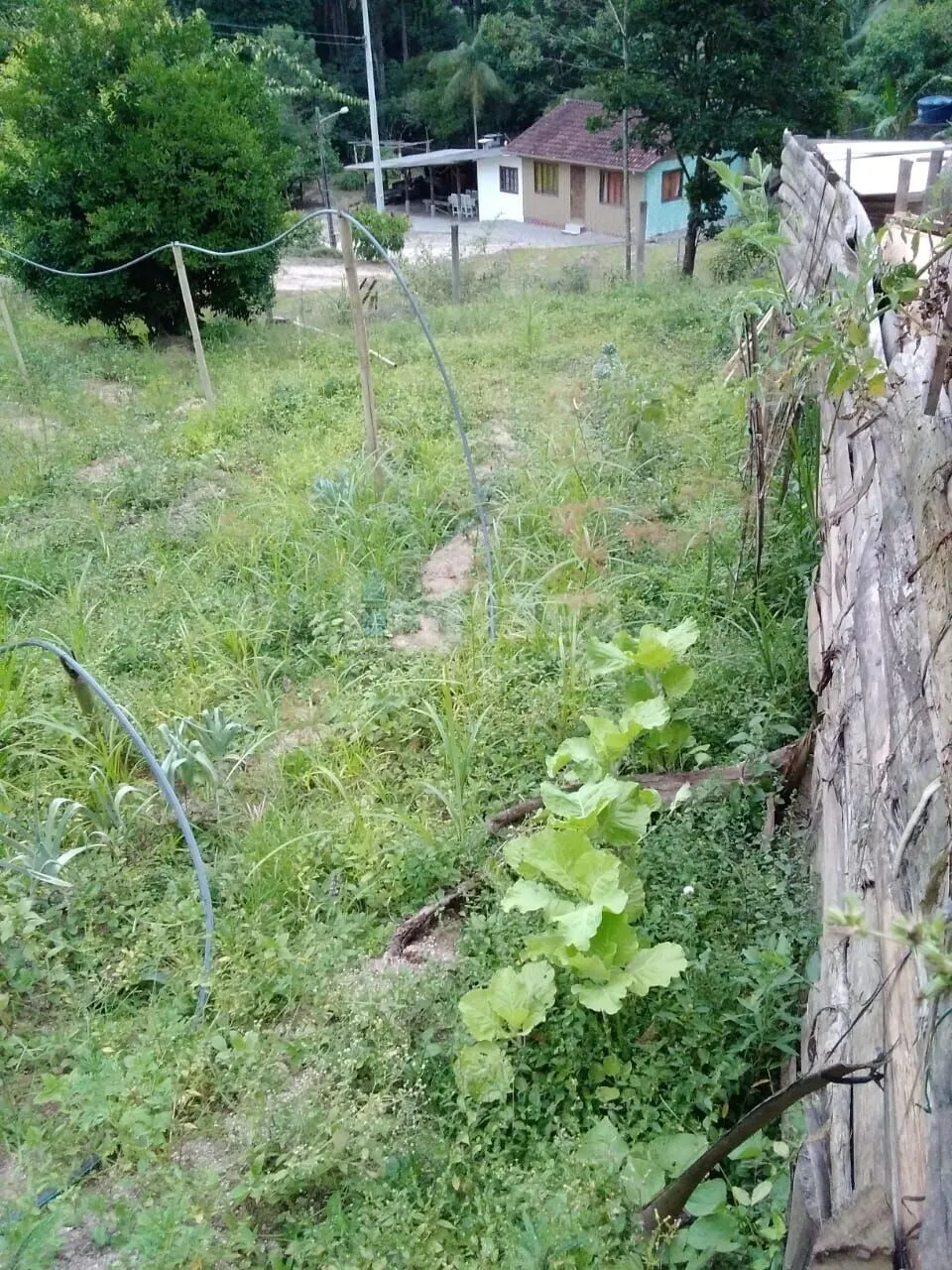 Fazenda à venda de 2.400 m² em Nova Trento, SC, Brasil