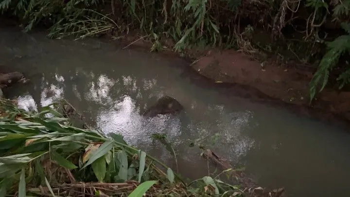 Chácara à venda de 3 ha em Rolante, RS, Brasil