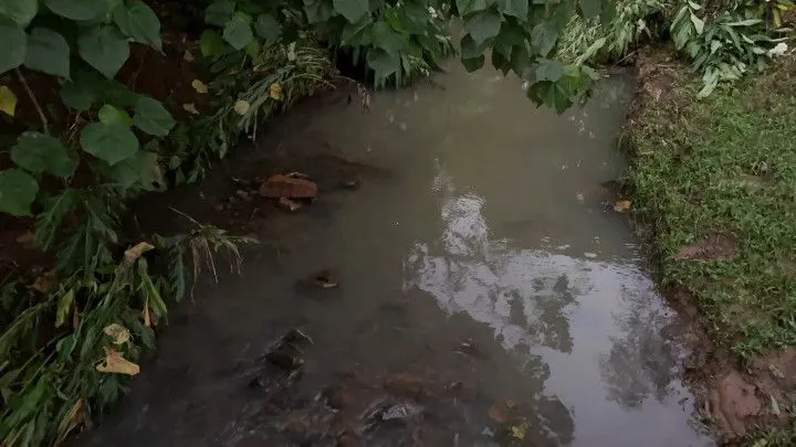 Chácara à venda de 3 ha em Rolante, RS, Brasil