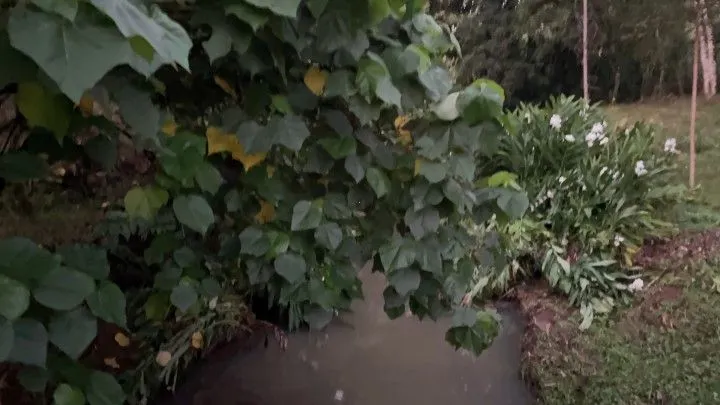 Chácara à venda de 3 ha em Rolante, RS, Brasil
