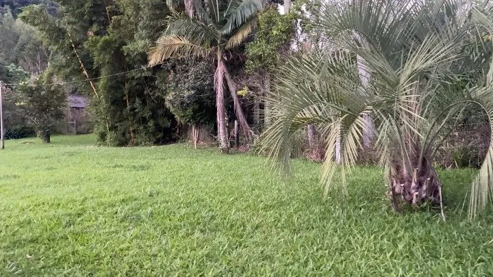 Chácara à venda de 3 ha em Rolante, RS, Brasil