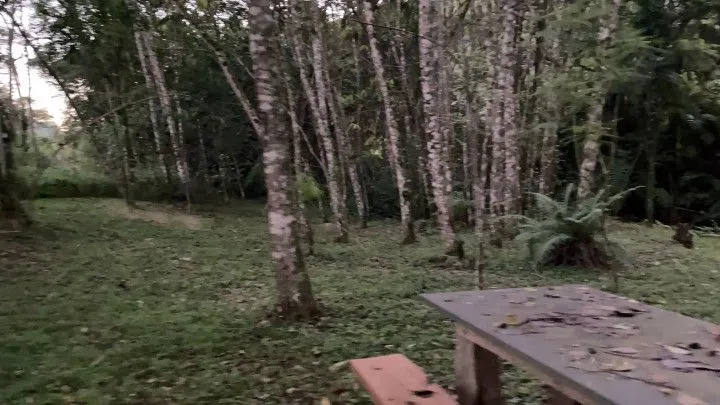 Chácara à venda de 3 ha em Rolante, RS, Brasil