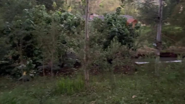 Chácara à venda de 3 ha em Rolante, RS, Brasil