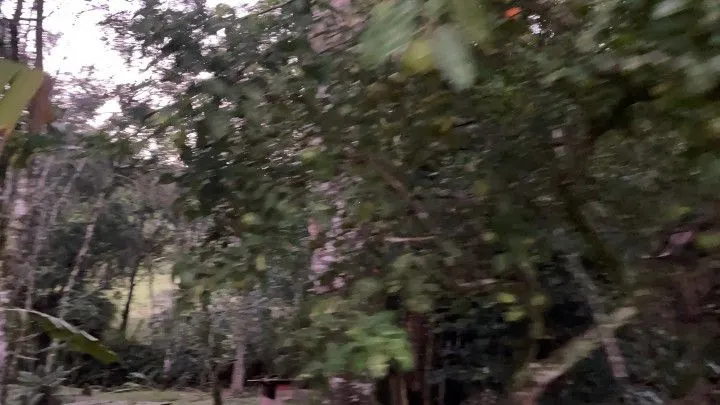 Chácara à venda de 3 ha em Rolante, RS, Brasil
