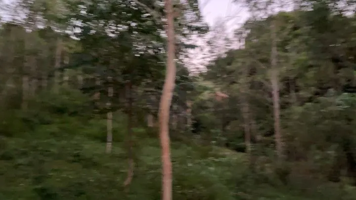Chácara à venda de 3 ha em Rolante, RS, Brasil