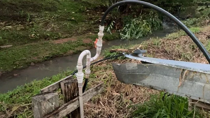 Chácara à venda de 3 ha em Rolante, RS, Brasil