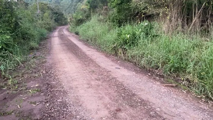 Chácara à venda de 3 ha em Rolante, RS, Brasil