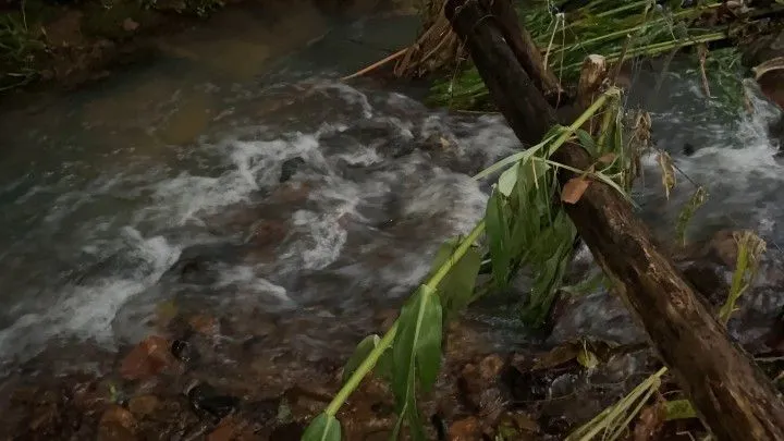 Chácara à venda de 3 ha em Rolante, RS, Brasil