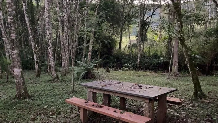 Chácara à venda de 3 ha em Rolante, RS, Brasil
