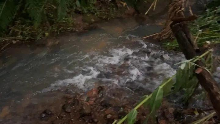 Chácara à venda de 3 ha em Rolante, RS, Brasil