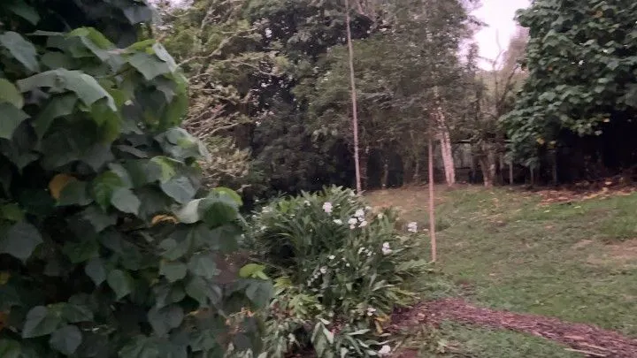 Chácara à venda de 3 ha em Rolante, RS, Brasil