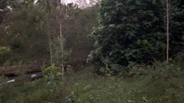 Chácara à venda de 3 ha em Rolante, RS, Brasil