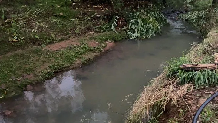 Chácara à venda de 3 ha em Rolante, RS, Brasil