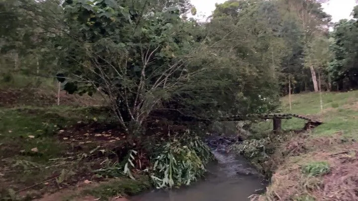 Chácara à venda de 3 ha em Rolante, RS, Brasil