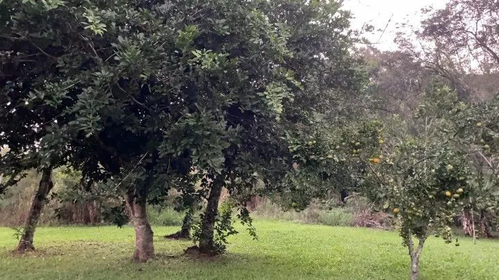 Chácara à venda de 3 ha em Rolante, RS, Brasil