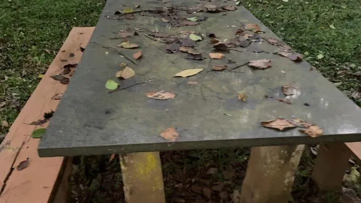 Chácara à venda de 3 ha em Rolante, RS, Brasil
