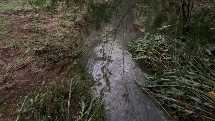 Chácara à venda de 3 ha em Rolante, RS, Brasil