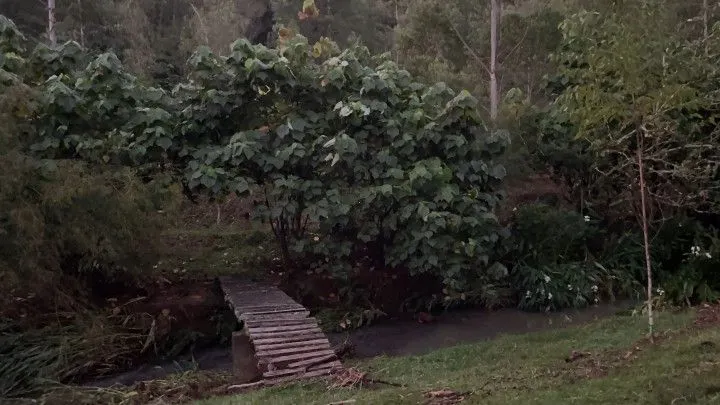 Chácara à venda de 3 ha em Rolante, RS, Brasil
