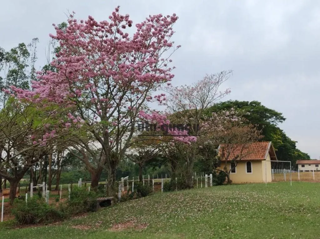 Fazenda à venda de 97 ha em Avaré, SP, Brasil