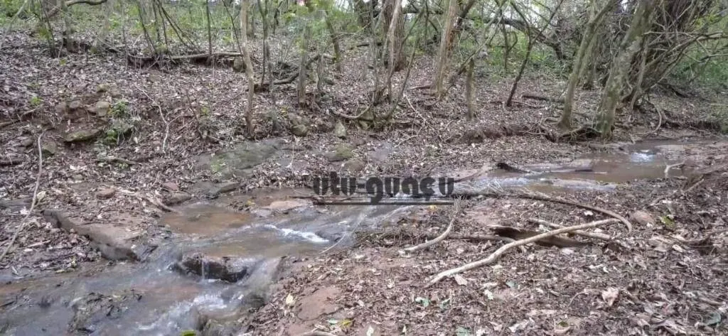 Fazenda à venda de 97 ha em Avaré, SP, Brasil