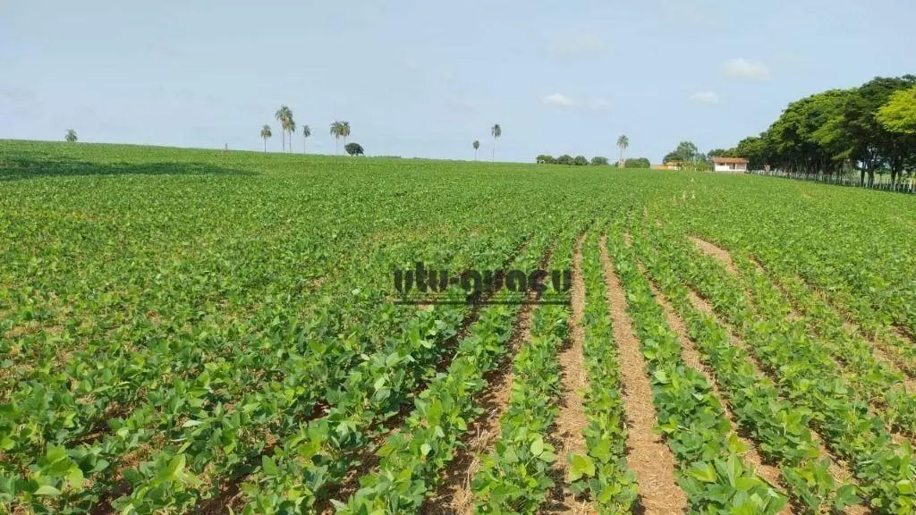 Fazenda à venda de 97 ha em Avaré, SP, Brasil