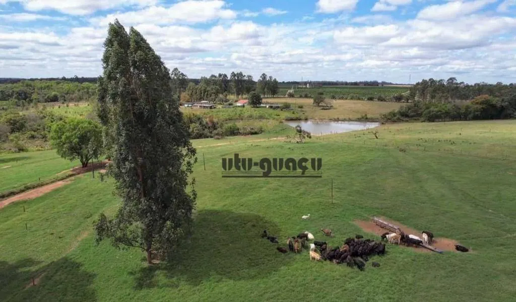 Fazenda à venda de 97 ha em Avaré, SP, Brasil