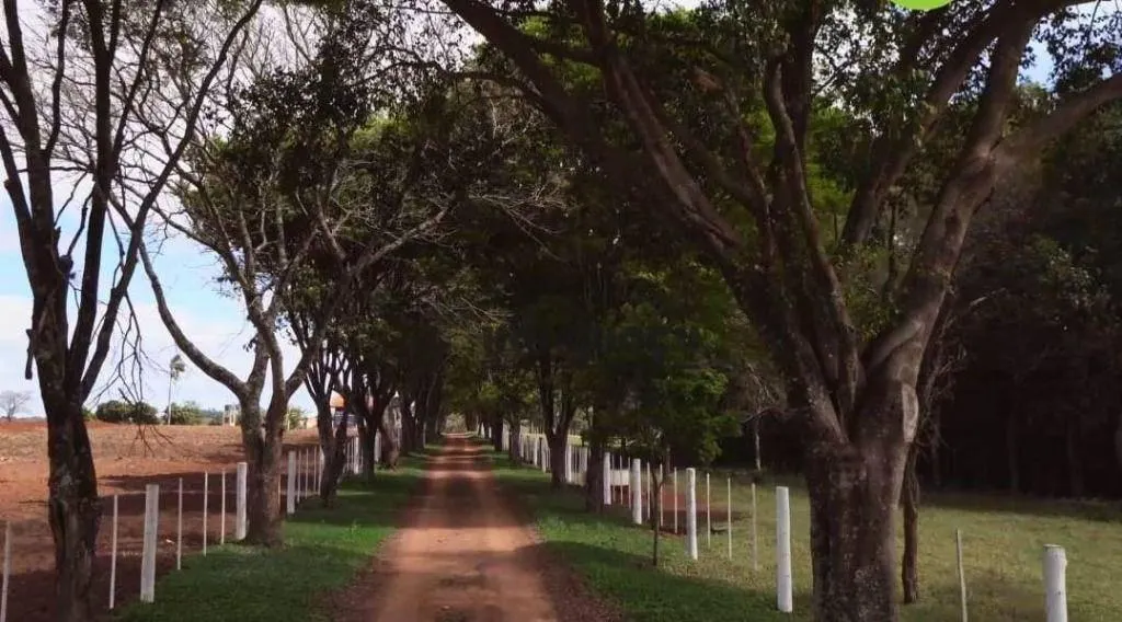 Fazenda à venda de 97 ha em Avaré, SP, Brasil