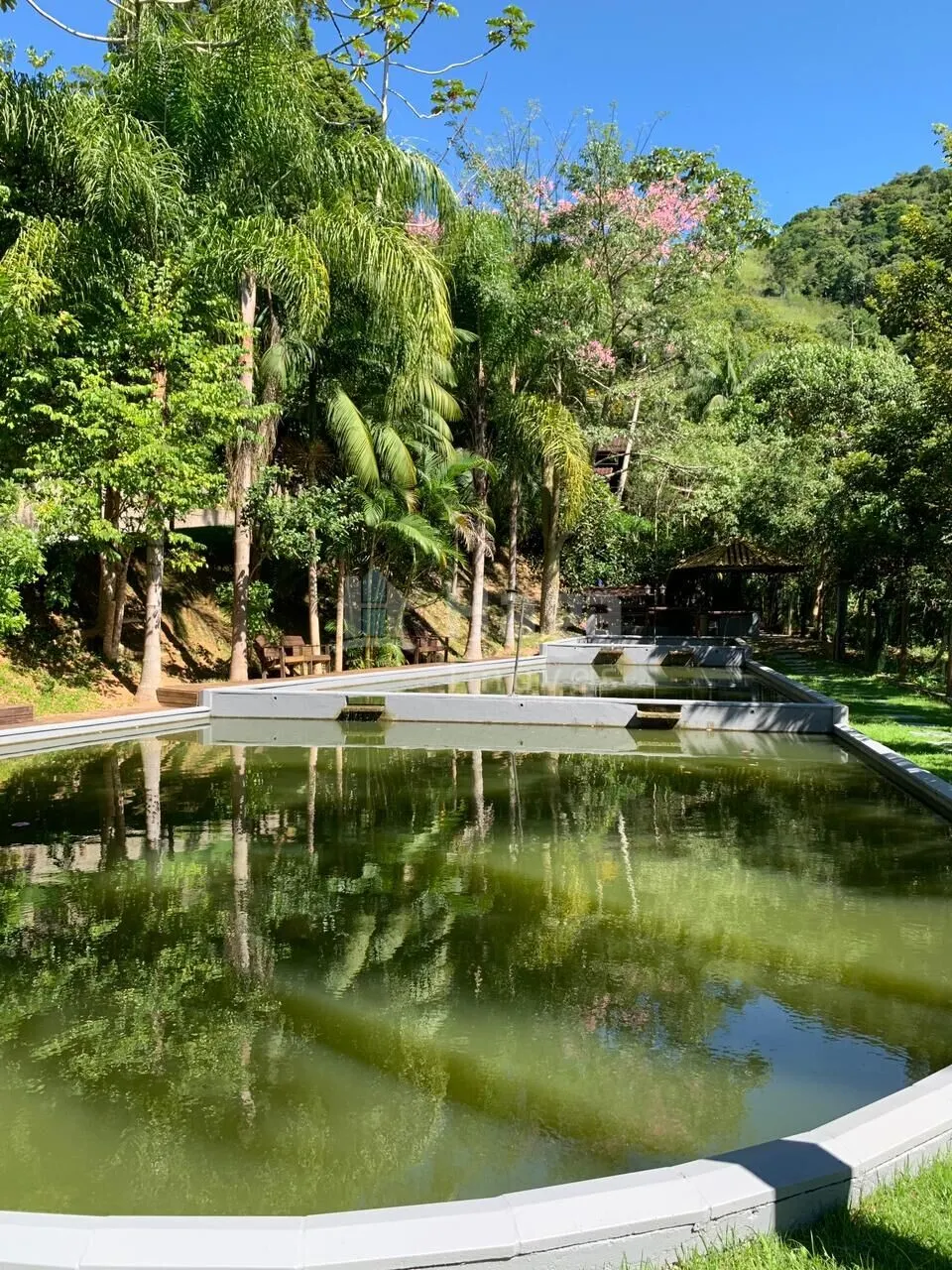 Fazenda à venda de 3 ha em Tijucas, SC, Brasil