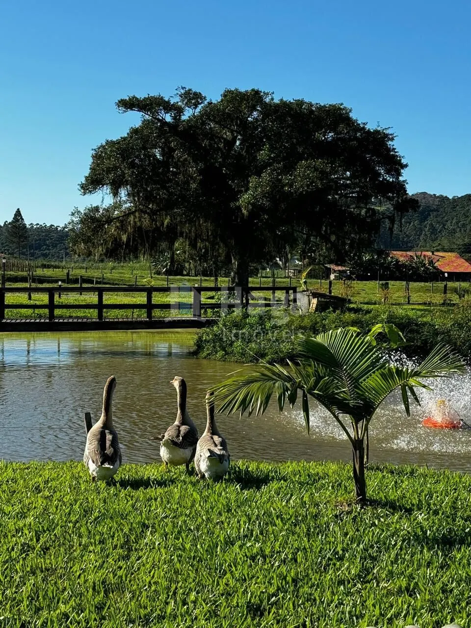 Chácara à venda de 4.500 m² em Tijucas, SC, Brasil