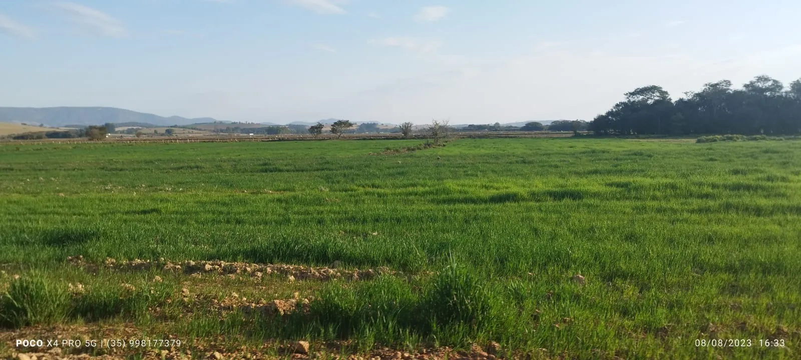 Farm for sale of 427 acres in Pouso Alegre, MG, Brazil