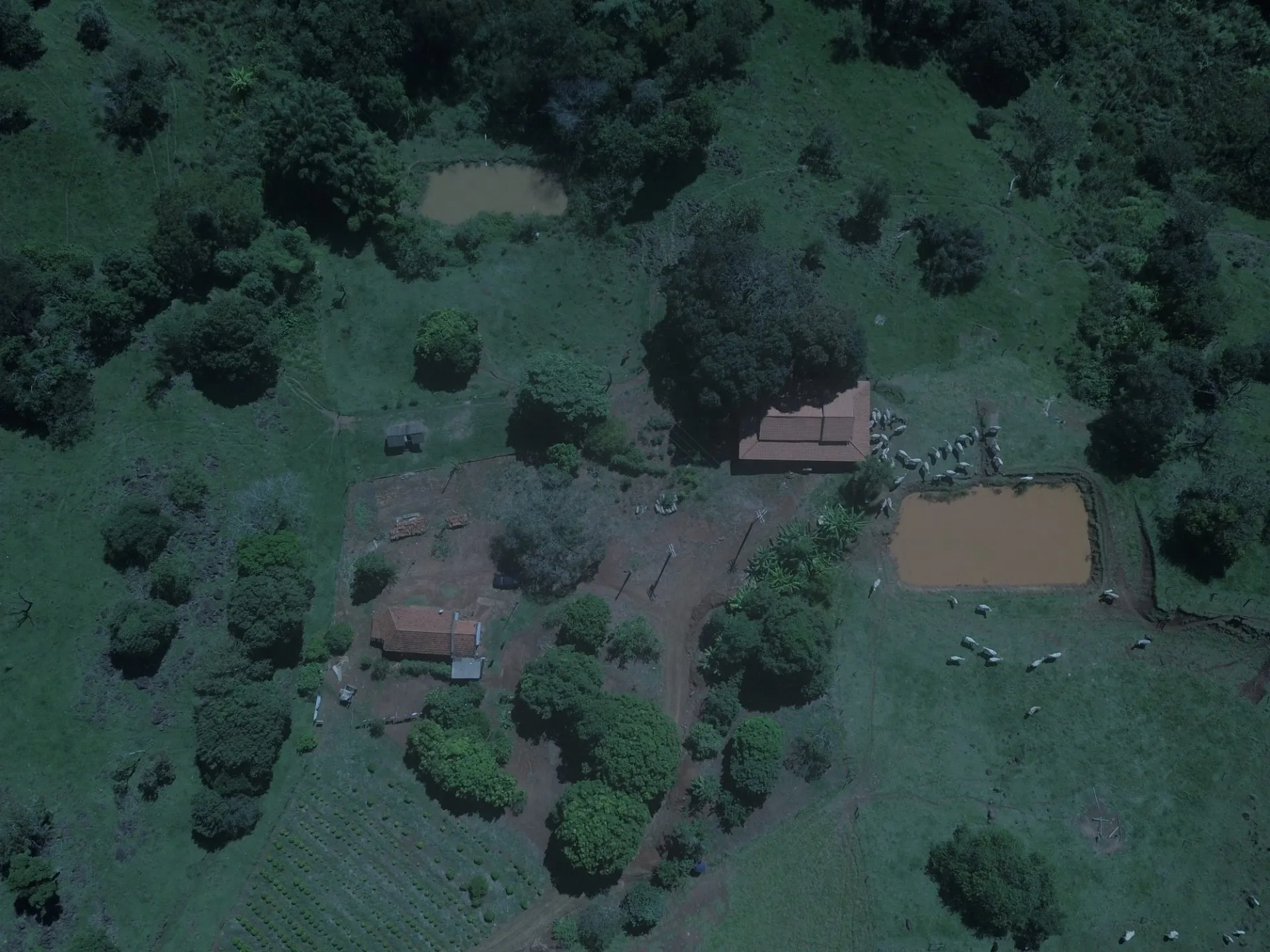 Sítio à venda de 77 ha em Timburi, SP, Brasil