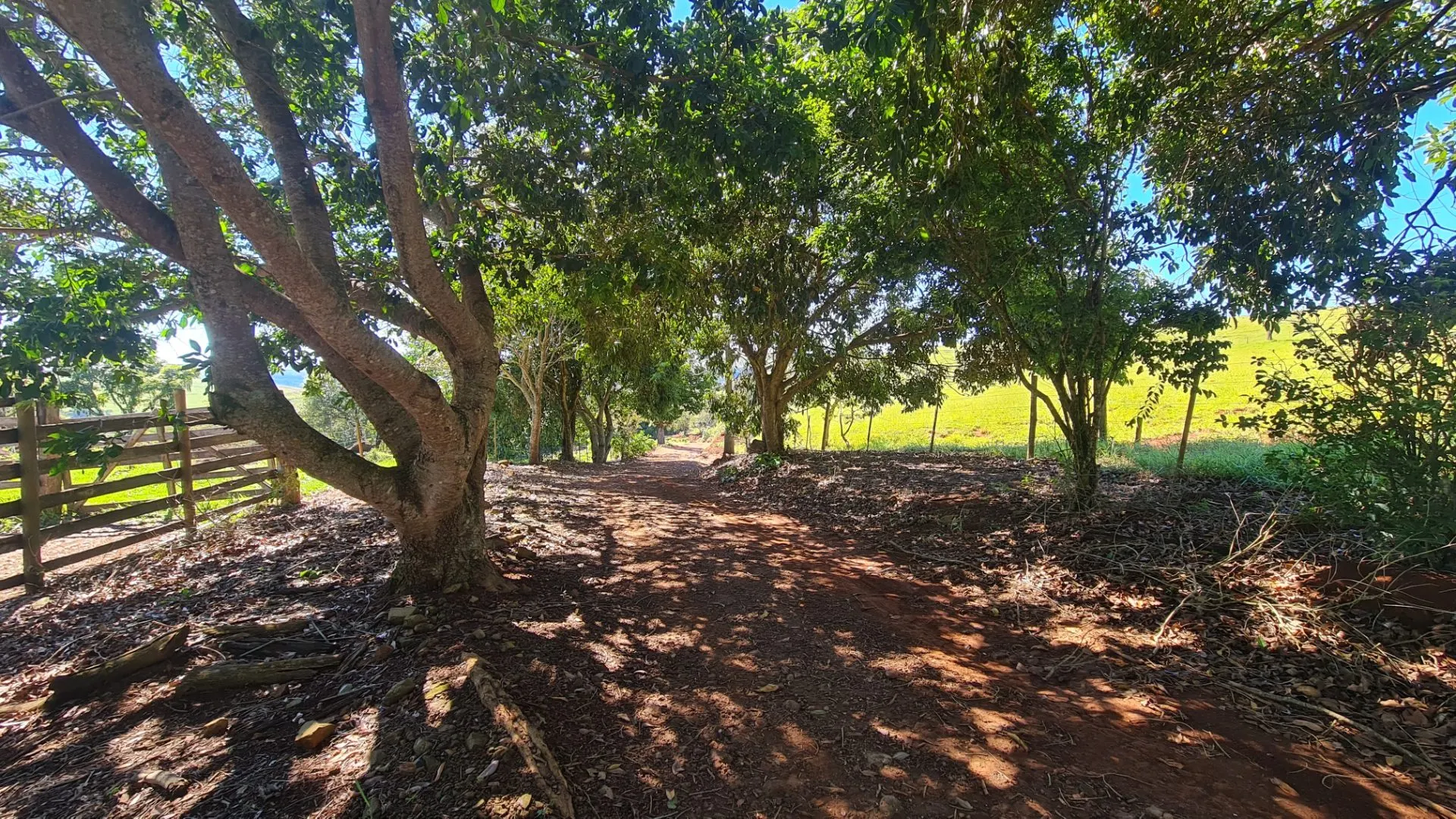 Sítio à venda de 77 ha em Timburi, SP, Brasil