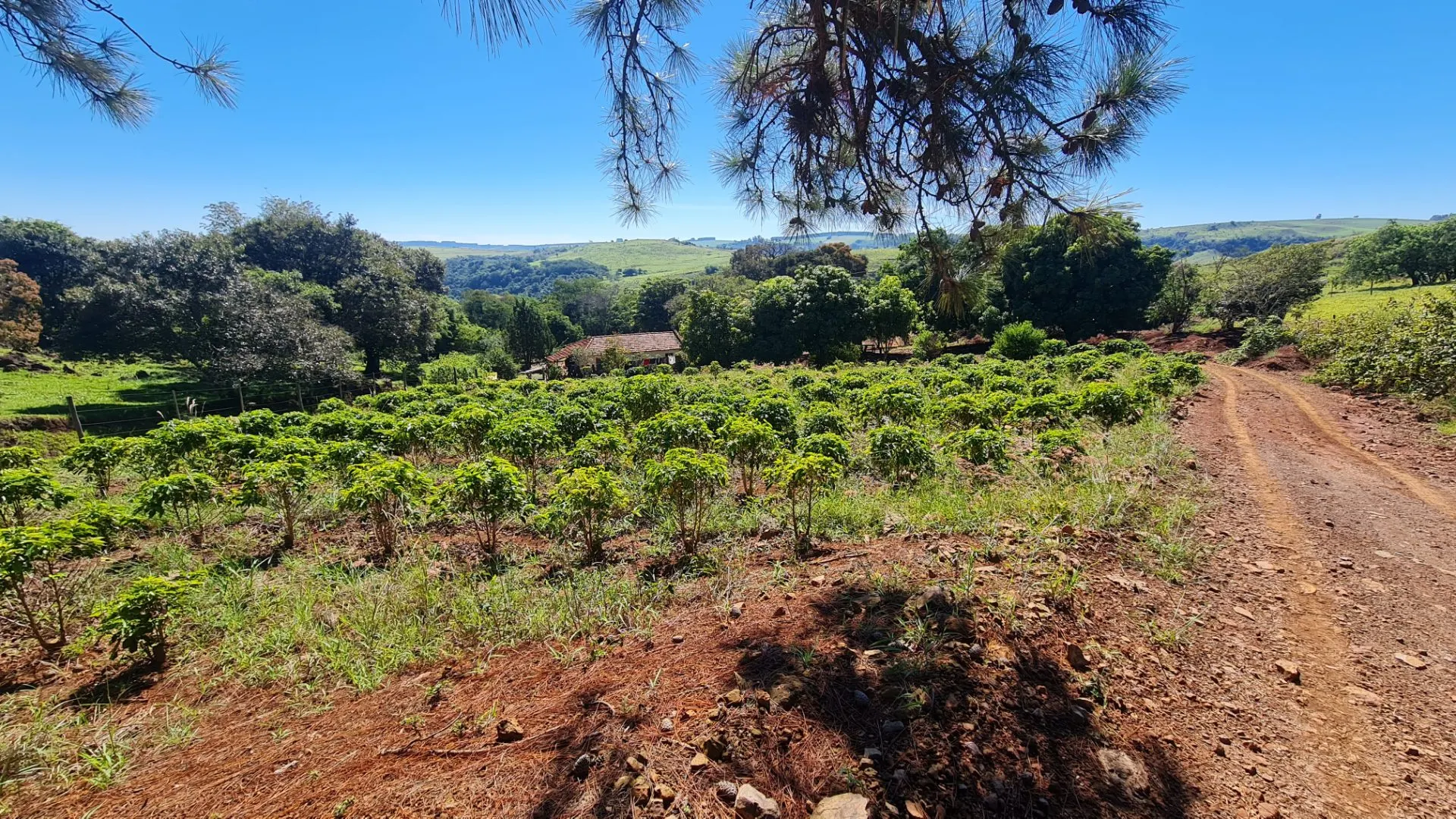 Sítio à venda de 77 ha em Timburi, SP, Brasil