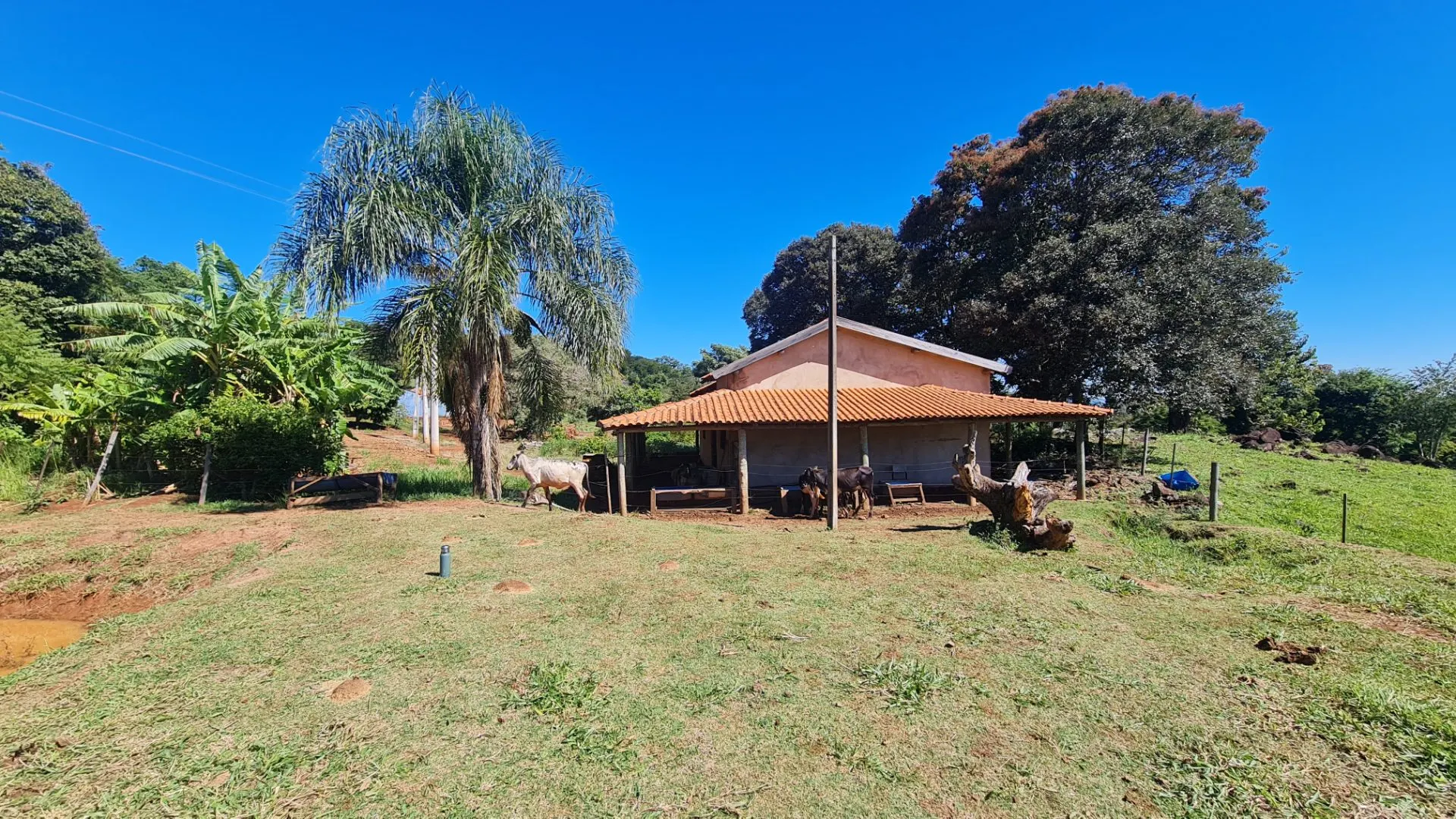Sítio à venda de 77 ha em Timburi, SP, Brasil