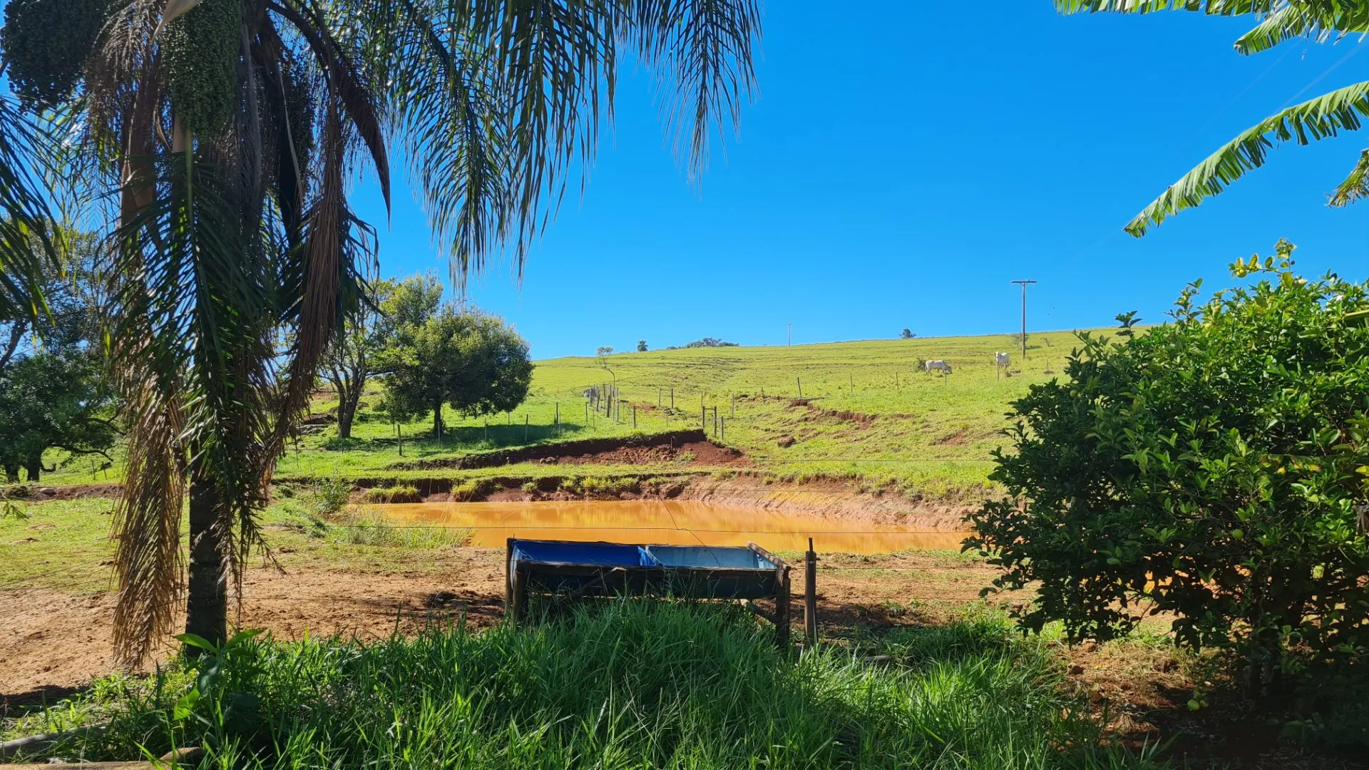 Sítio à venda de 77 ha em Timburi, SP, Brasil
