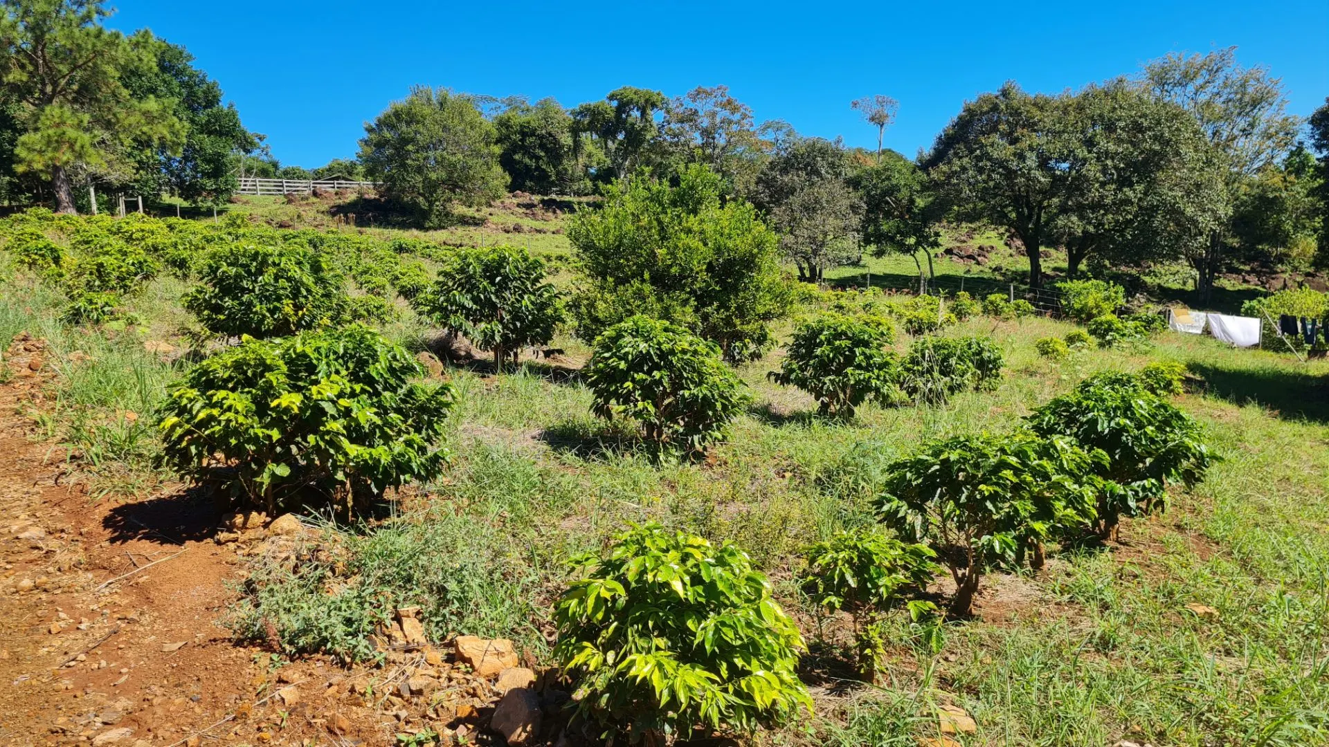 Sítio à venda de 77 ha em Timburi, SP, Brasil
