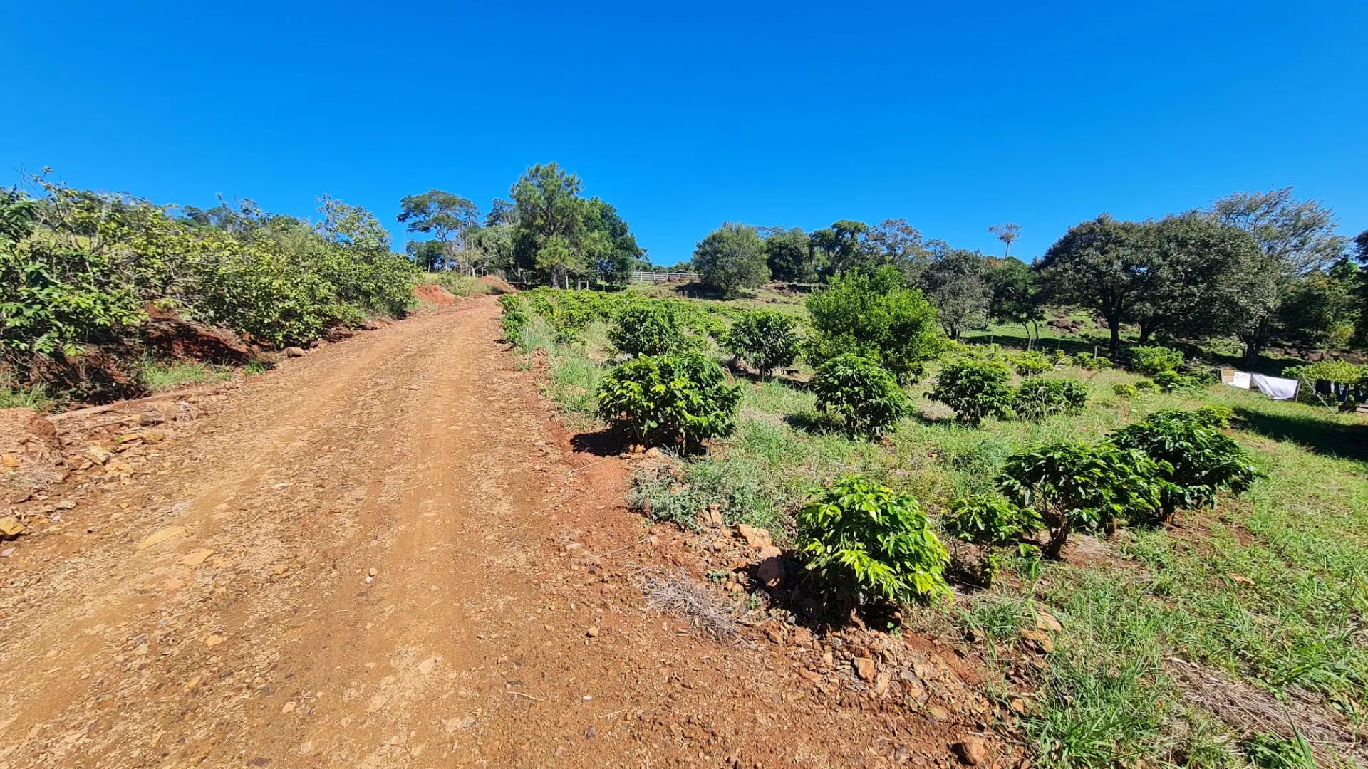 Sítio à venda de 77 ha em Timburi, SP, Brasil