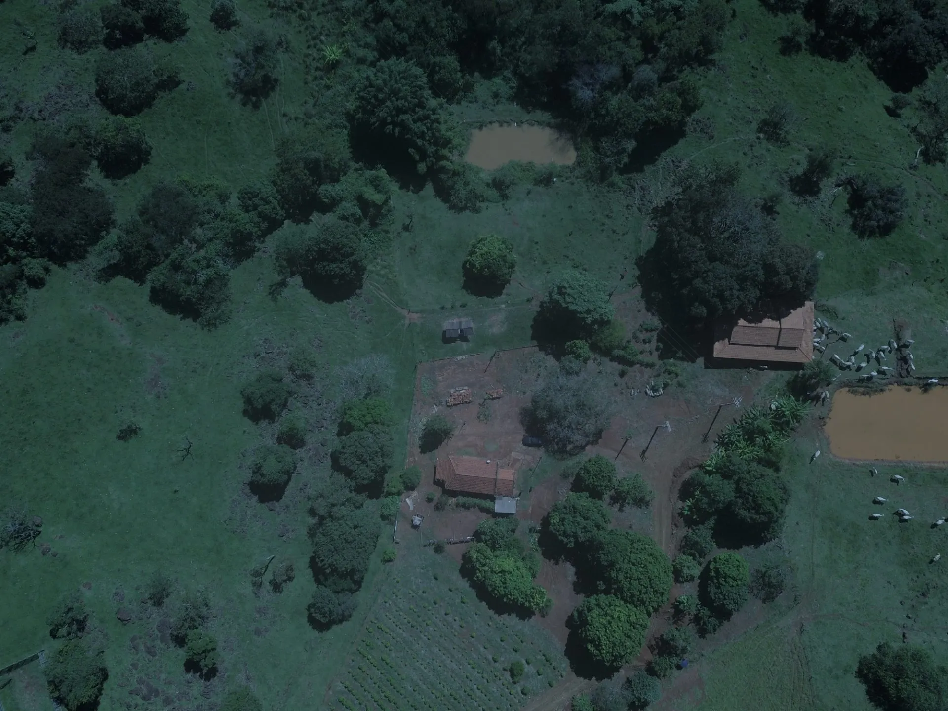 Sítio à venda de 77 ha em Timburi, SP, Brasil